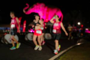 BIB: 
                            <button type="button" onclick="openModal(26535066)" class="btn btn-primary btn-sm float-right btn-popup" data-toggle="modal" data-target=".modal-high-quality">
                        <i class="fas fa-shopping-cart"></i> Add to Cart
                    </button>
                                            <button type="button" onclick="isThisMe(26535066, true)" class="btn btn-success btn-sm float-right btn-popup btn-isme hidden" data-toggle="tooltip" data-placement="bottom" title="นี่คือรูปของคุณใช่ไหม คลิกที่นี่เพื่อเอาเข้าอัลบั้ม">
                        <i class="fas fa-plus"></i> Add to album
                    </button>
                    <button type="button" onclick="isThisMe(26535066, false)" class="btn btn-warning btn-sm float-right btn-popup btn-isnotme hidden">
                        <i class="fas fa-ban"></i> Remove from album
                    </button>